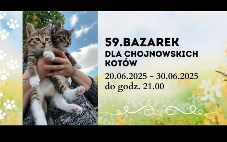 Dwie małe kotki trzymane w rękach, z uśmiechniętymi twarzami.