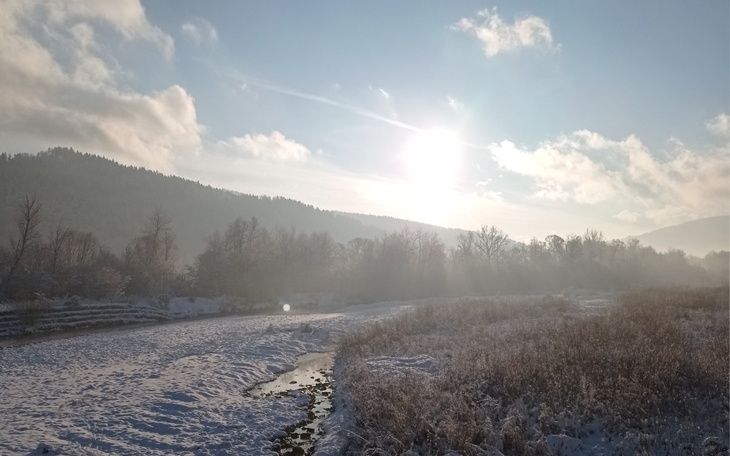 Zbiórka Święta dla babci - zdjęcie główne