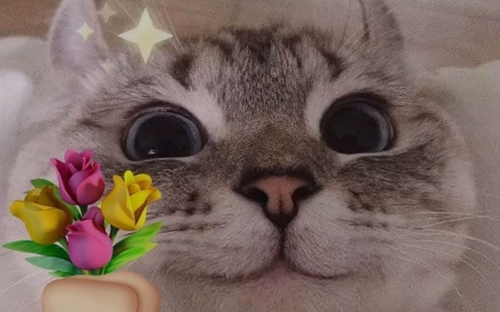 Zbiórka Pomagamy natankowi - zdjęcie główne