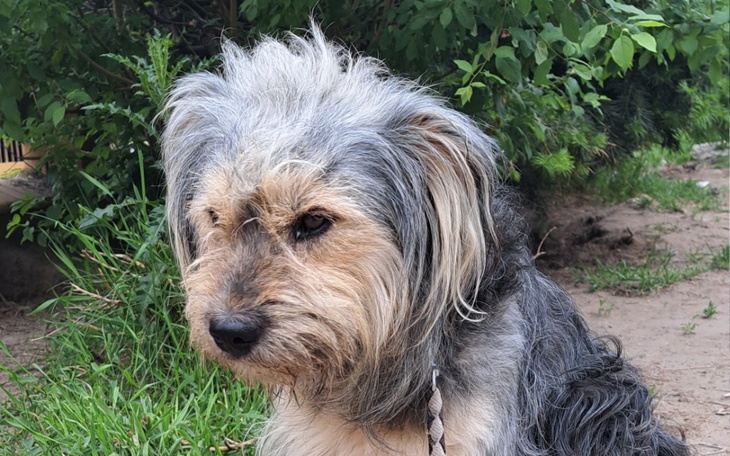 Zbiórka Kleszcze i brak apetytu. - zdjęcie główne