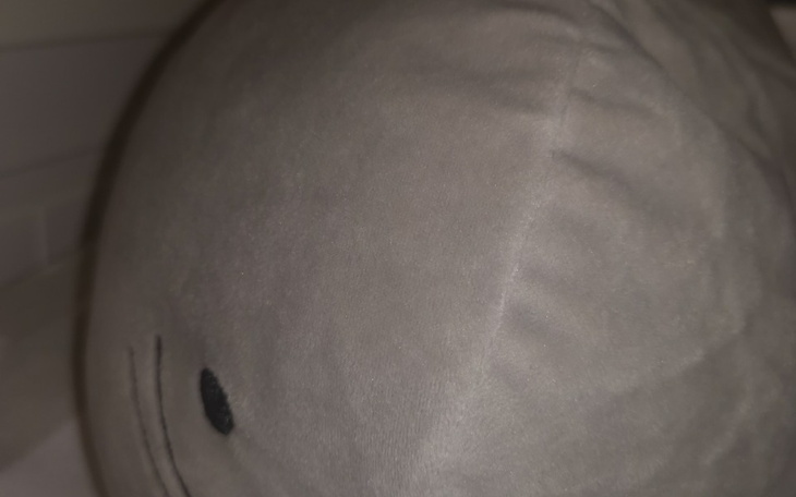 Zbiórka Piesek dla debila - zdjęcie główne