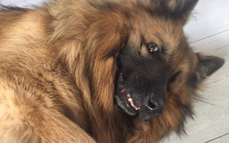 Zbiórka Ratunek dla Harnasia - zdjęcie główne