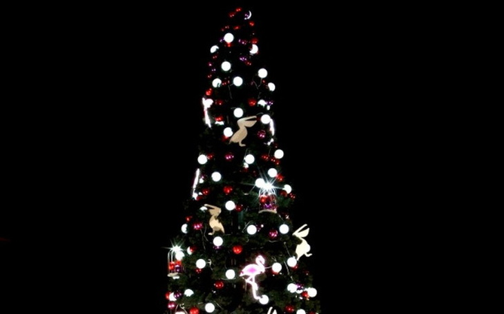 Zbiórka Dla Adasia - zdjęcie główne