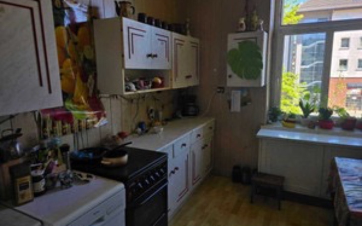 Widok na kuchnię z oknem, pełną roślin i przyborów kuchennych.