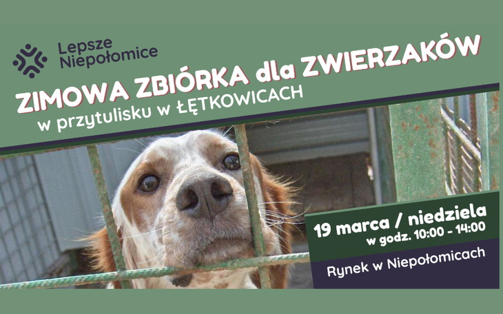 Zbiórka Zimowa zbiórka dla zwierzaków 6 - zdjęcie główne