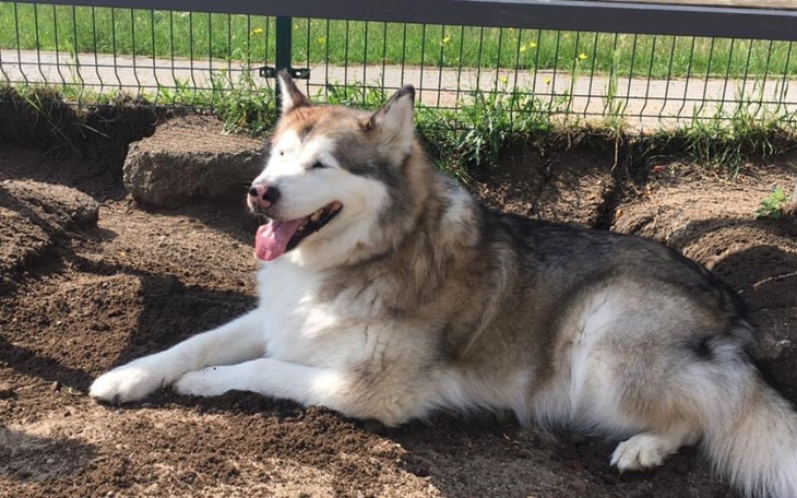 Zbiórka Walka Wenus z gruczolakorakiem - zdjęcie główne
