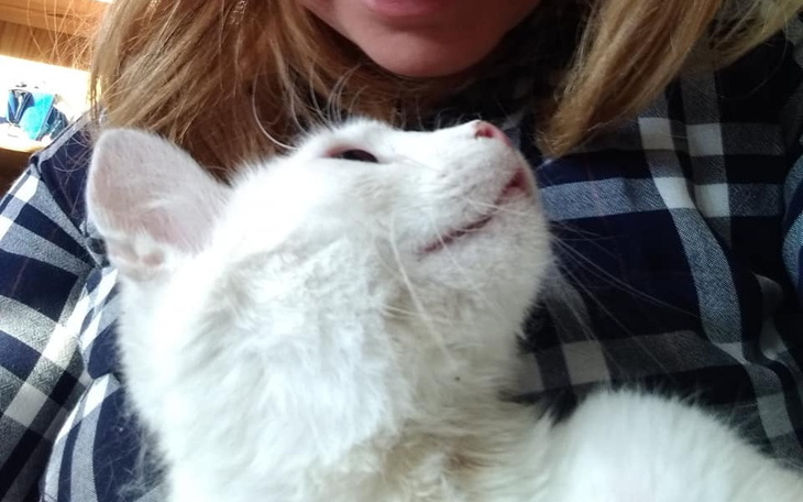 Zbiórka Bezik- kociak z rowu - zdjęcie główne