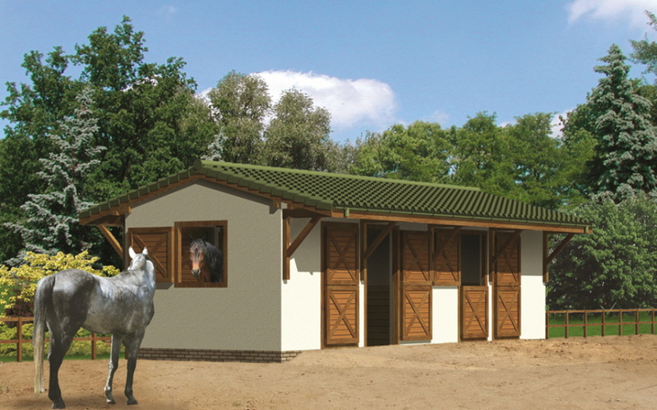 Zbiórka Dom,stajnia na przyszłość - zdjęcie główne