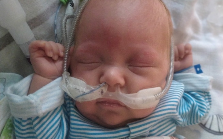 Zbiórka Wiktorek - walka o przyszłość - zdjęcie główne