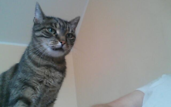 Zbiórka Pietny - zdjęcie główne