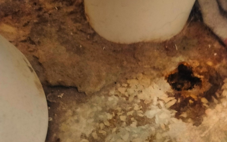 Zniszczona podłoga z widocznymi uszkodzeniami.