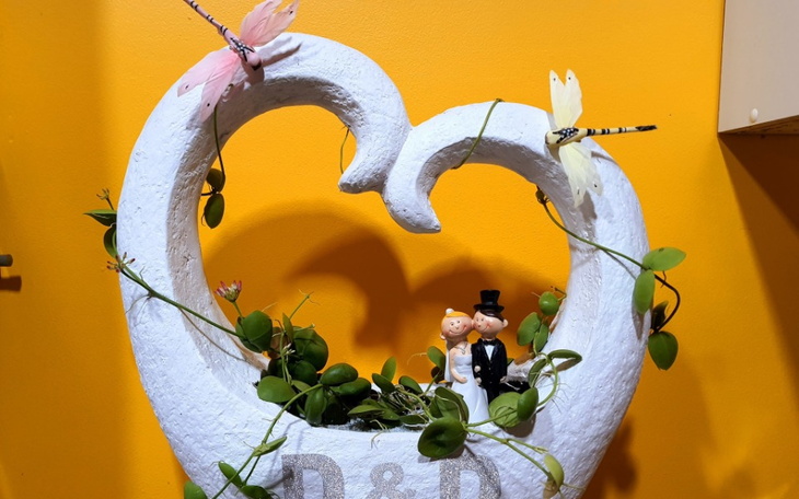 Zbiórka Własna Marka - zdjęcie główne