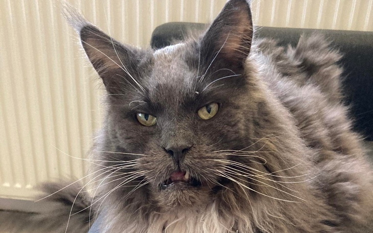 Zbiórka Leczenie onkologiczne Prezesa - zdjęcie główne