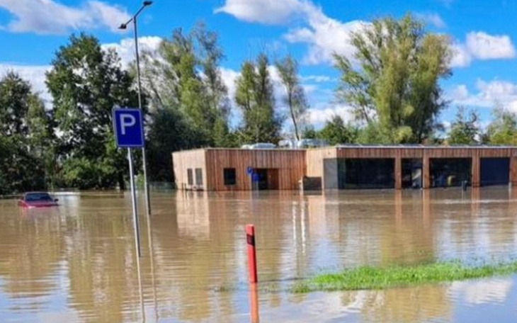 Zbiórka Woda zabrała zwierzętom nadzieję - zdjęcie główne