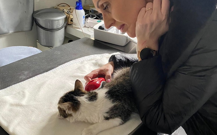 Zbiórka Uratujmy mu łapkę / rehab - zdjęcie główne