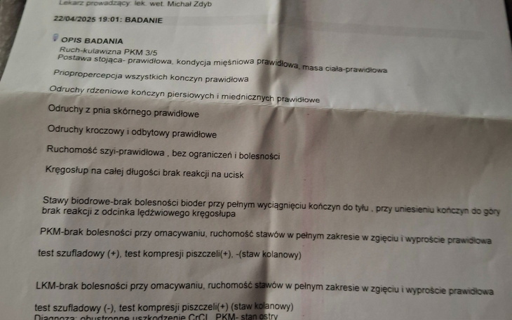Dokument medyczny z opisem badań.