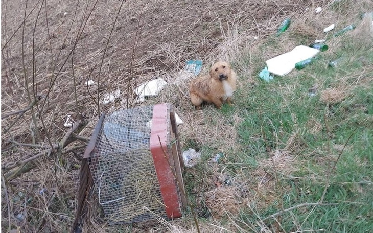 Zbiórka Po lepsze życie - zdjęcie główne