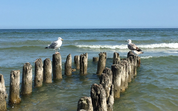 Zbiórka Pomóż mi, abym stanęła na nogi - zdjęcie główne