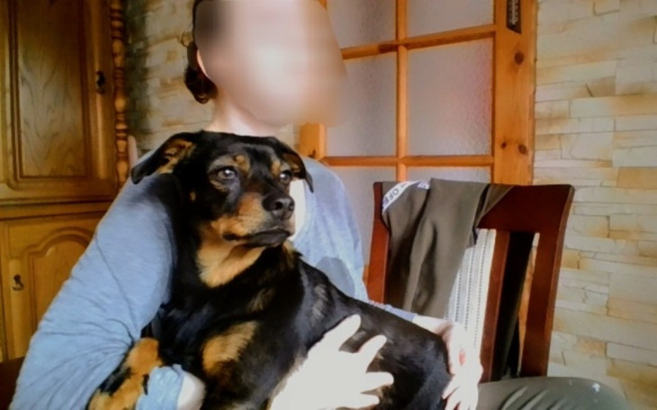 Zbiórka Ratujemy Sisi przed ślepotą - zdjęcie główne