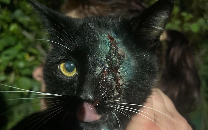 Zbiórka Jesteś naszą ostatnią nadzieją - zdjęcie główne