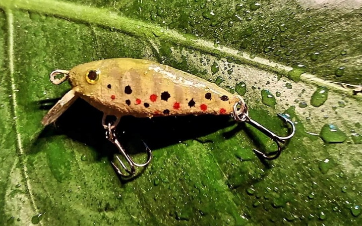 Zbiórka Na materiały muchowe - zdjęcie główne