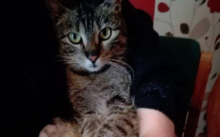 Zbiórka Elektrostymulator dla Klary - zdjęcie główne