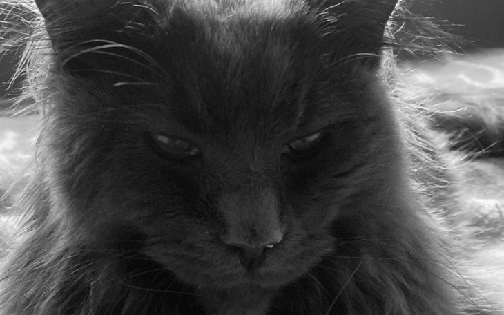 Zbiórka Heniu walczy o życie z choroba - zdjęcie główne