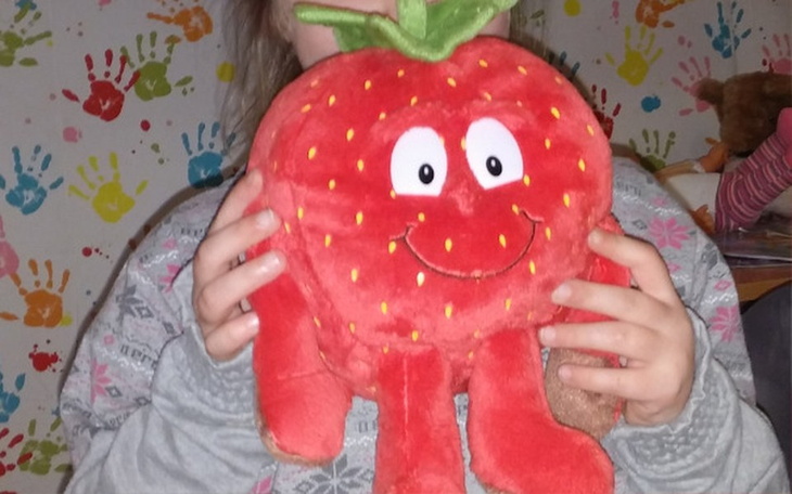 Zbiórka rozbudowa domu po adopcji - zdjęcie główne