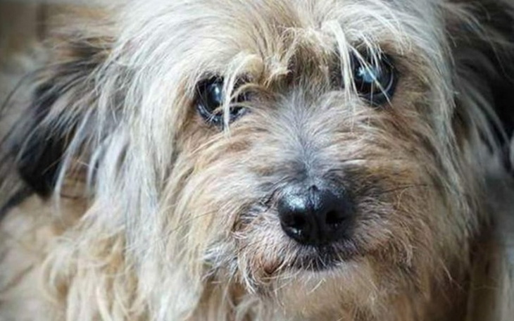 Zbiórka Zbiórka na oczka dla Toli - zdjęcie główne