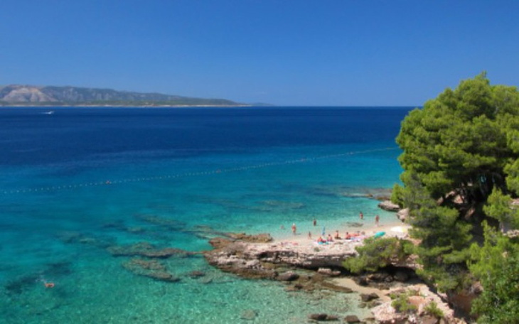 Zbiórka Wakacjee - zdjęcie główne