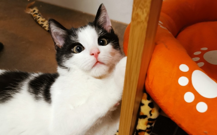 Zbiórka Chodzić bez bólu - Milky Way - zdjęcie główne