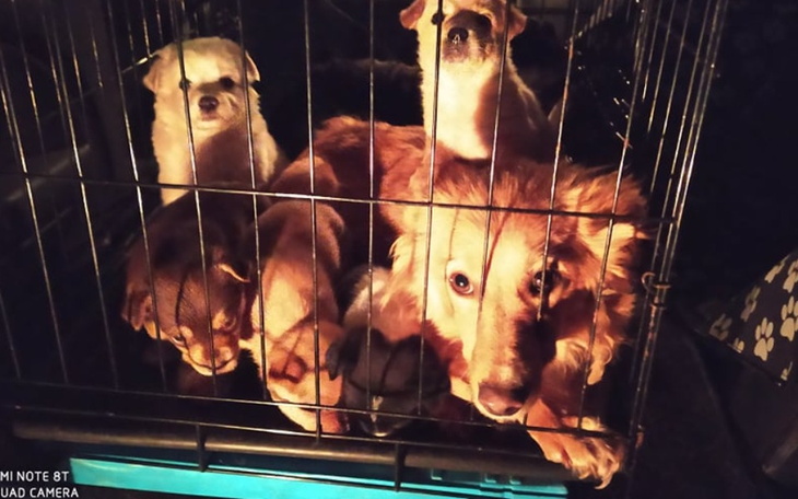 Zbiórka URODZONE NA POLU - na transport - zdjęcie główne