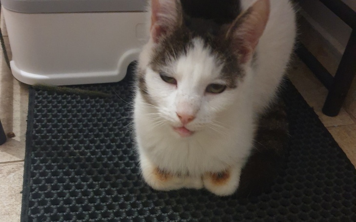 Zbiórka Urodzinowa zbiórka Mirki - zdjęcie główne