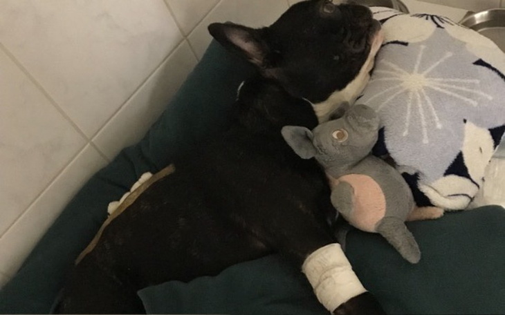 Zbiórka Kręgosłup Franka ciąg dalszy - zdjęcie główne