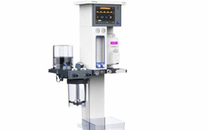 Zbiórka 40-stka Judyty dla psiaków - zdjęcie główne