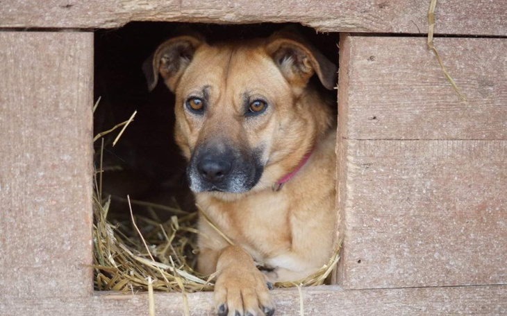 Zbiórka Na bezpieczny powrót Wierki - zdjęcie główne