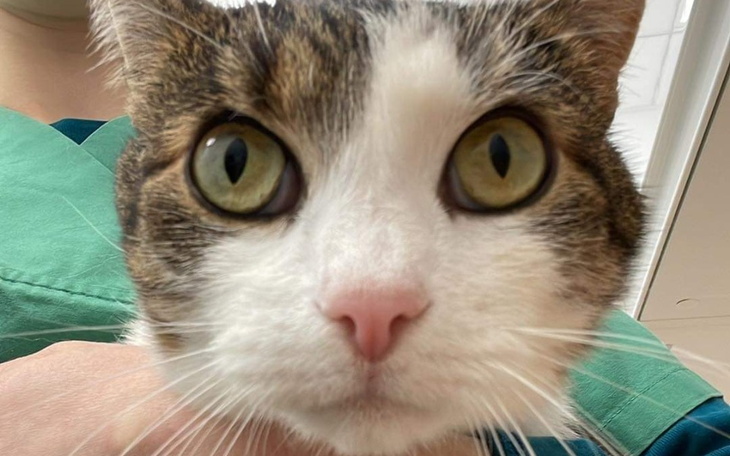 Zbiórka Błagam o pomoc dla Bogusia - zdjęcie główne