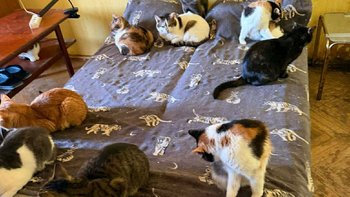 Zbiórka Ciężka walka z bezdomnością - miniaturka zdjęcia