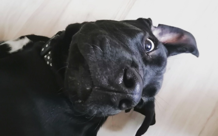 Zbiórka Wszyscy za Portosa - zdjęcie główne