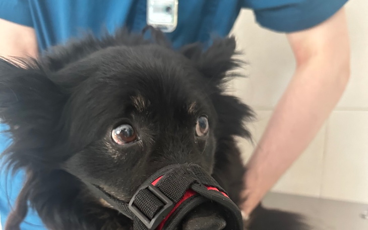 Zbiórka Sparaliżowany czekał 2 tyg pomoc - zdjęcie główne