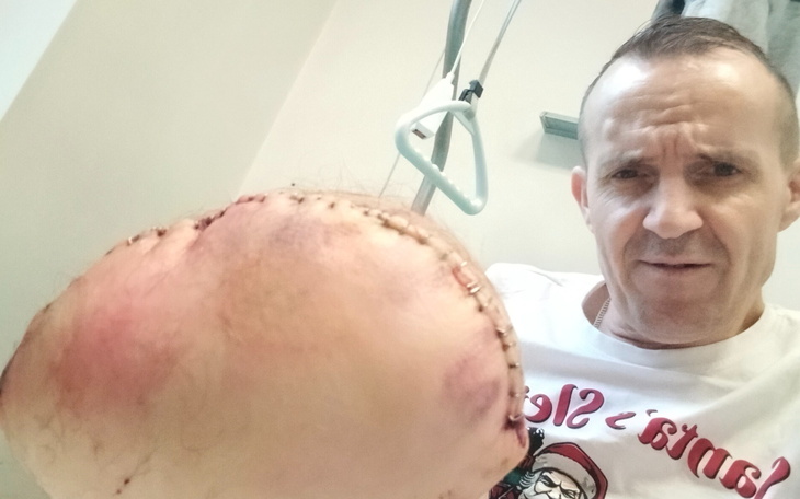 Kolorowy, artystyczny obraz drzewa