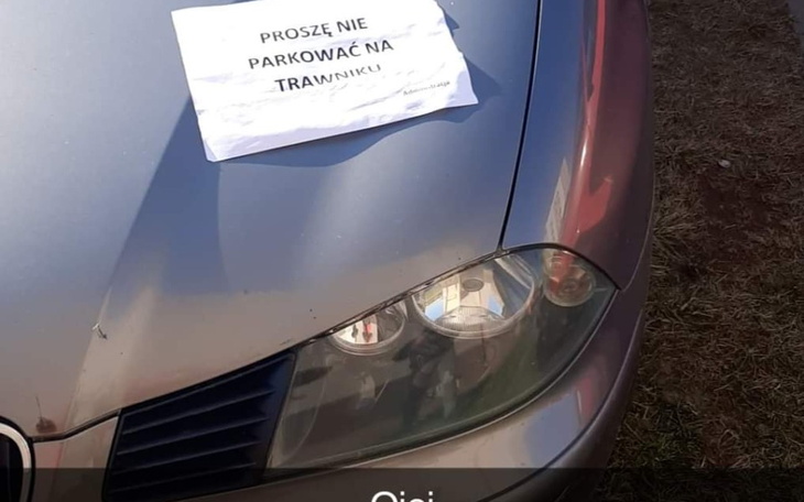 Zbiórka Reanimacja seata - zdjęcie główne