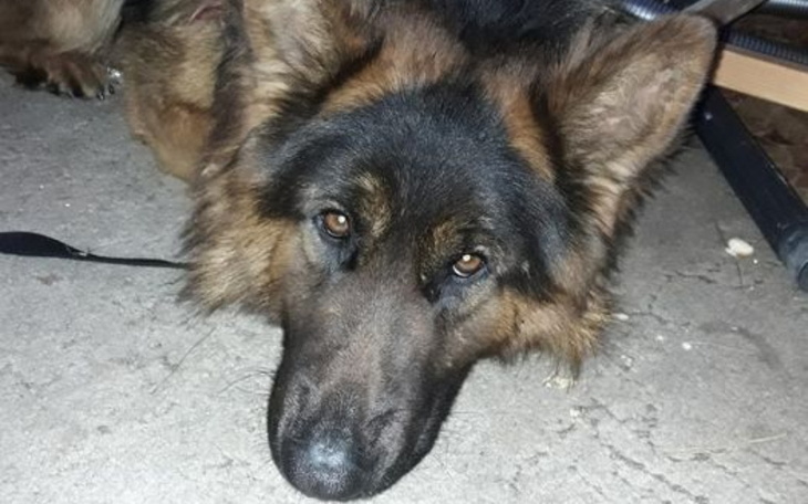 Zbiórka Przerażony Bruno - zdjęcie główne