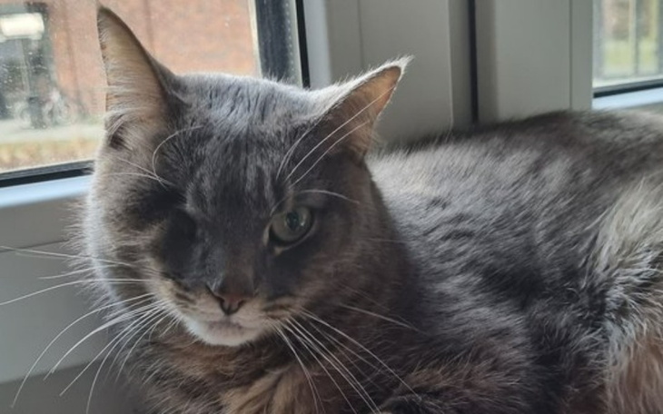 Zbiórka Support for refugees - zdjęcie główne