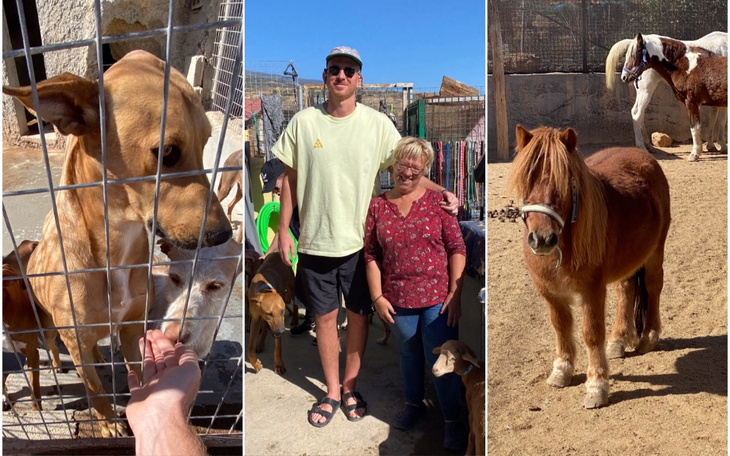 Zbiórka RATUJMY ZWIERZAKI / Teneryfa - zdjęcie główne