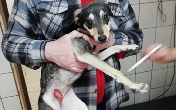 Zbiórka Operacja Majeczki - zdjęcie główne