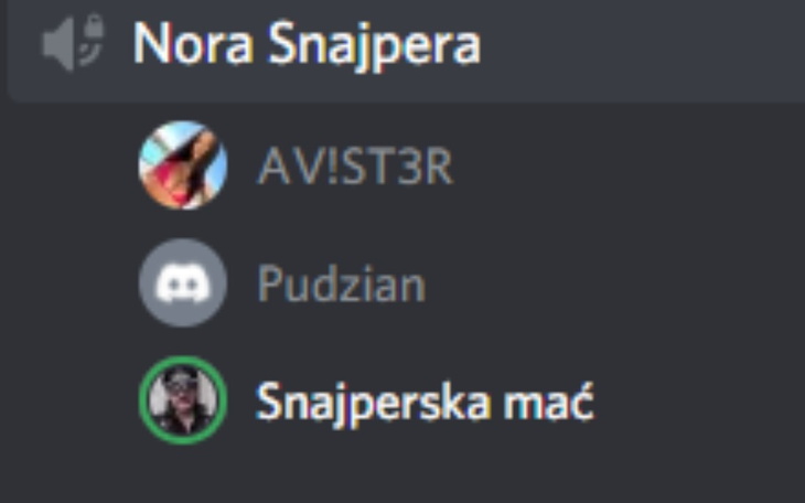 Zbiórka Nitro Discord - zdjęcie główne