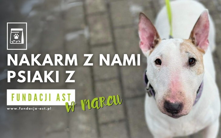 Zbiórka Nakarm z nami psiaki w AST - zdjęcie główne