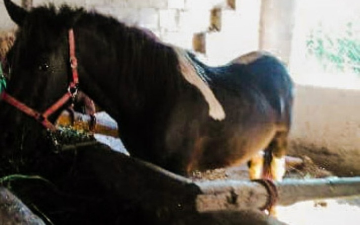 Zbiórka Uniknąć końca: wyrok zapadł - zdjęcie główne