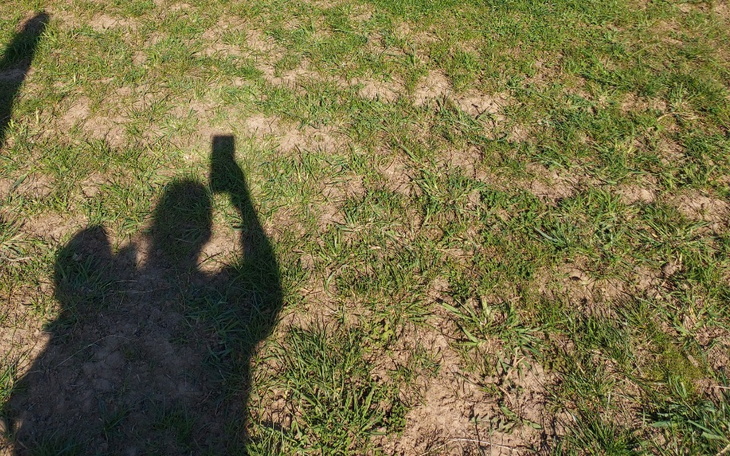 Zbiórka Wycieczka syna - zdjęcie główne